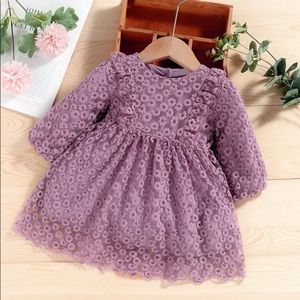 Floral Embroidered Formal Baby Dress